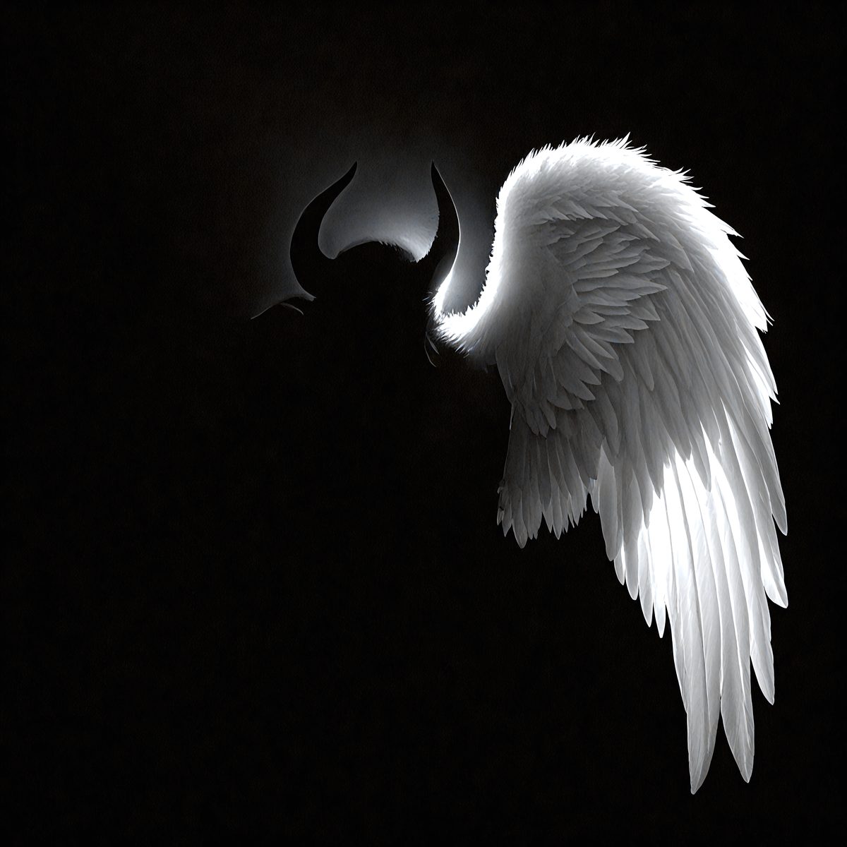 9196 - the-angel-and-the-shadow-a-luminous-angel-wing-contra_250708092828_00001.png